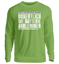 Lade das Bild in den Galerie-Viewer, LimettenGrün-1646
